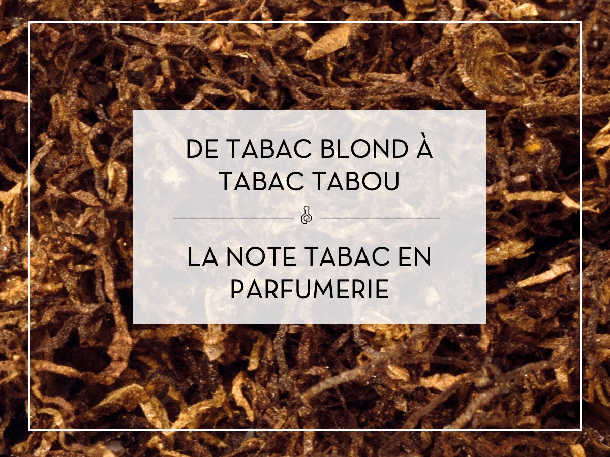 Conférence digitale – La note en tabac en parfumerie