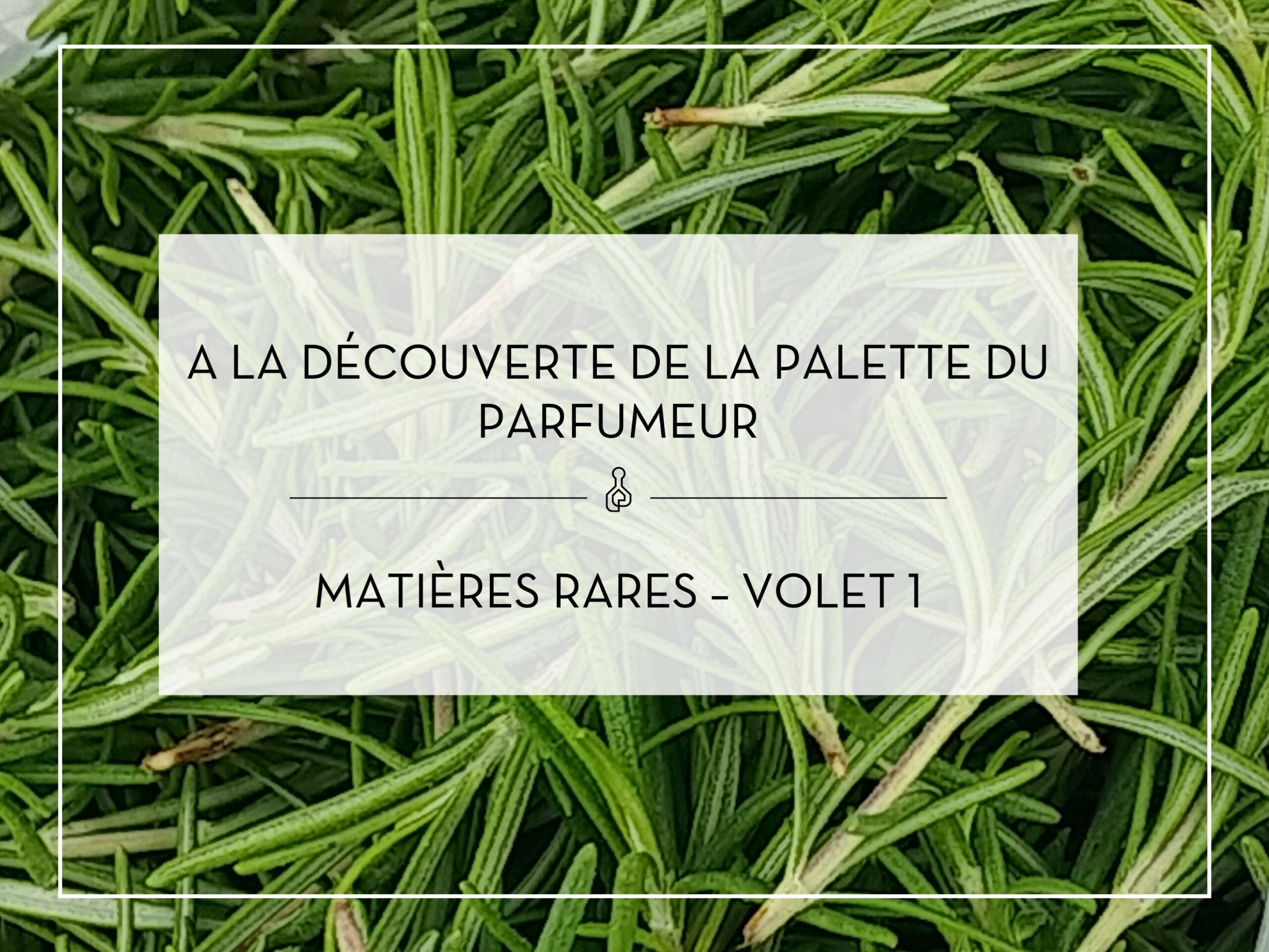 Conférence digitale – La palette du parfumeur – Matières rares Volet 1