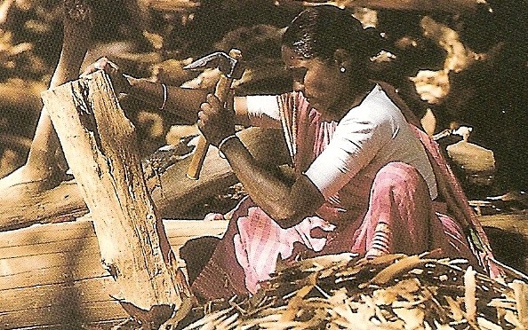 Le santal : un bois précieux devenu parfum